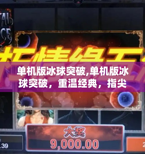 单机版冰球突破,单机版冰球突破，重温经典，指尖上的竞技热血