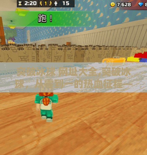 突破冰球 网址大全,突破冰球，从零到一的热血征程—全球顶级冰球网站全解析（附网址大全）